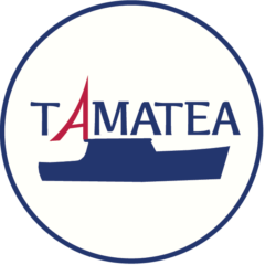 Tamatea